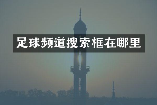 足球频道搜索框在哪里