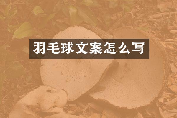 羽毛球文案怎么写