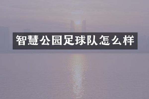 智慧公园足球队怎么样
