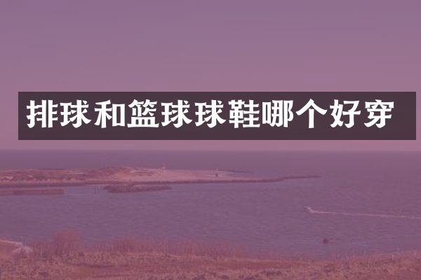 排球和篮球球鞋哪个好穿