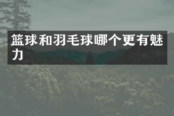篮球和羽毛球哪个更有魅力