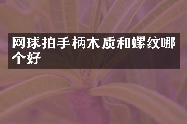 网球拍手柄木质和螺纹哪个好