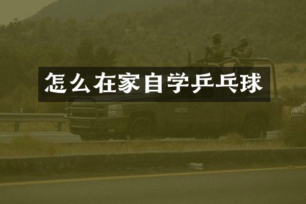 怎么在家自学乒乓球