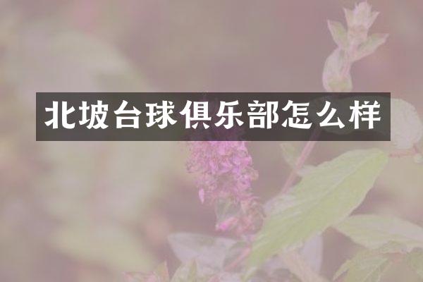 北坡台球俱乐部怎么样