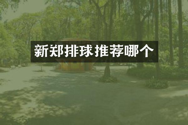 新郑排球推荐哪个