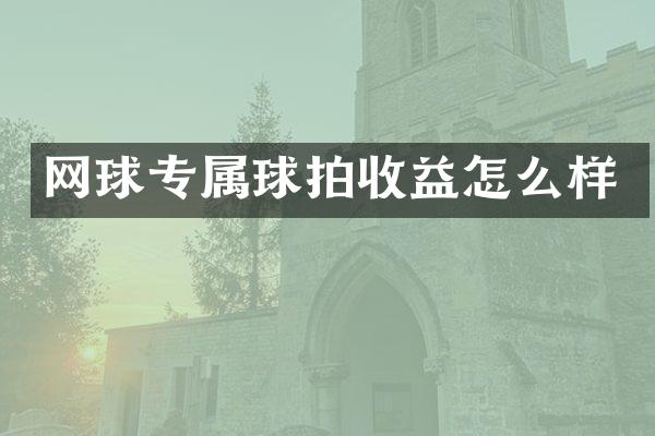 网球专属球拍收益怎么样