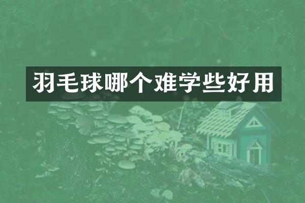羽毛球哪个难学些好用