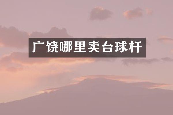 广饶哪里卖台球杆