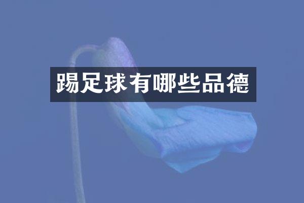 踢足球有哪些品德