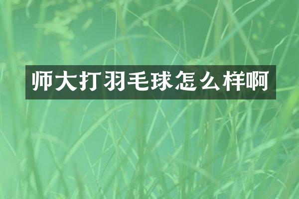 师大打羽毛球怎么样啊
