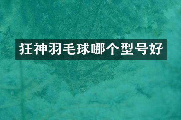 狂神羽毛球哪个型号好