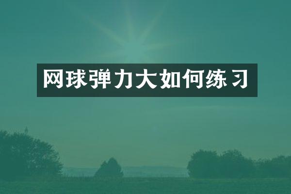 网球弹力大如何练习