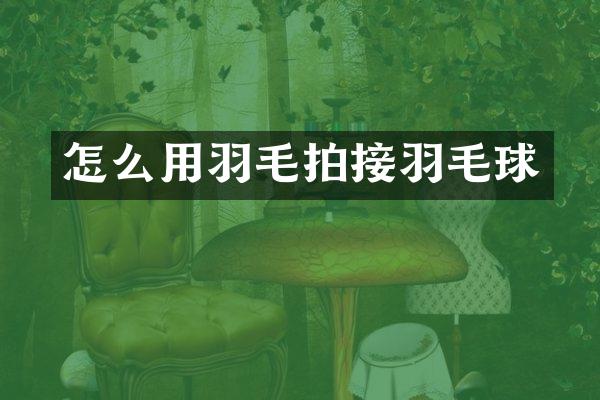 怎么用羽毛拍接羽毛球