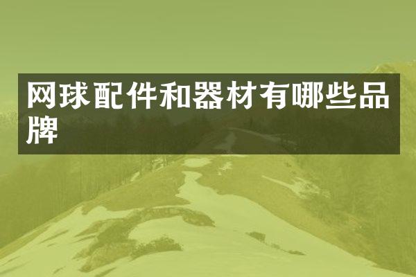 网球配件和器材有哪些品牌