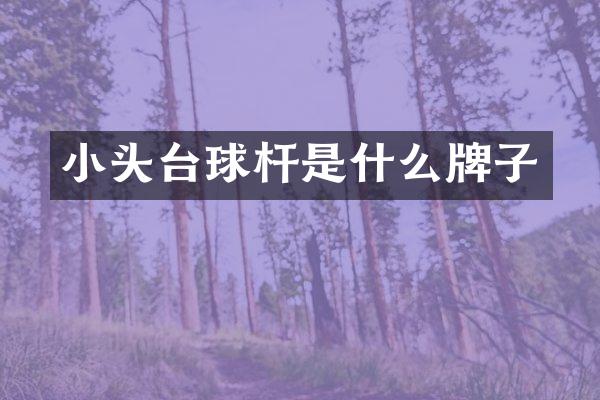小头台球杆是什么牌子