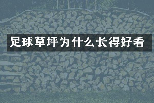 足球草坪为什么长得好看