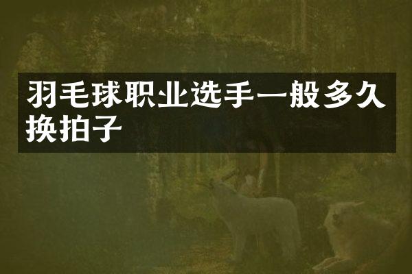 羽毛球职业选手一般多久换拍子