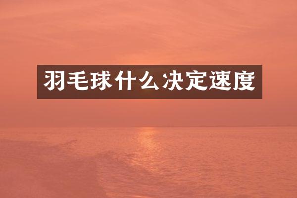 羽毛球什么决定速度
