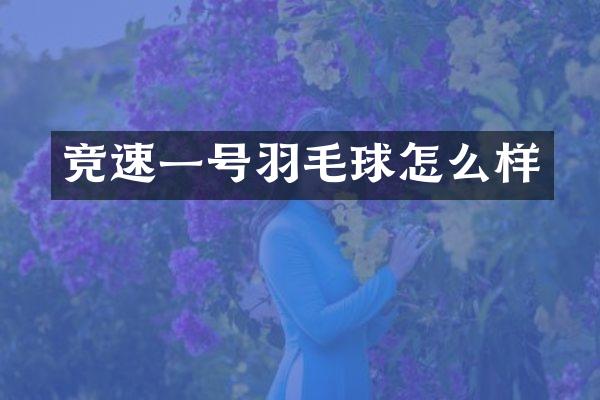 竞速一号羽毛球怎么样