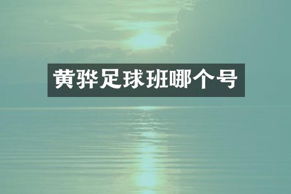 黄骅足球班哪个号