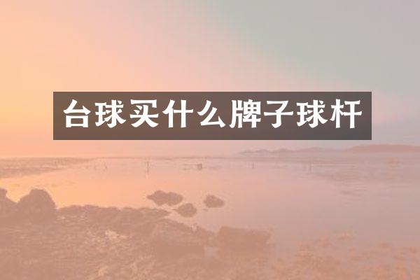 台球牌子球杆