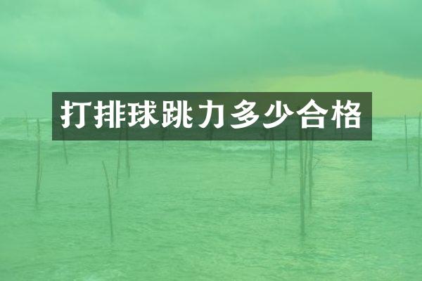 打排球跳力多少合格
