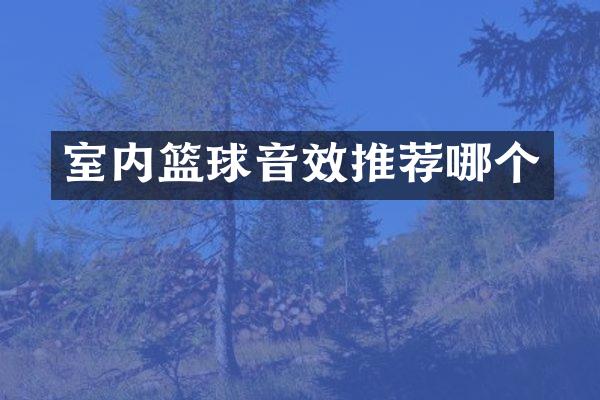 室内篮球音效推荐哪个