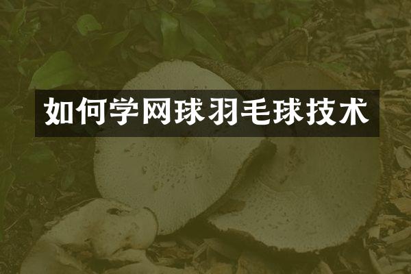 如何学网球羽毛球技术