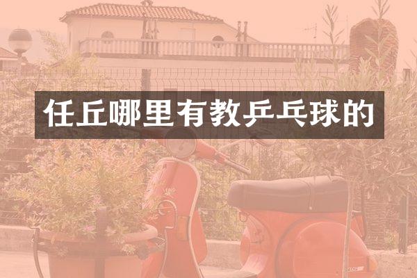 任丘哪里有教乒乓球的