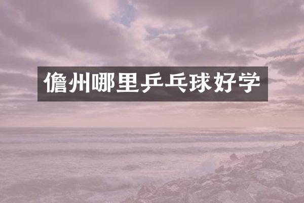 儋州哪里乒乓球好学