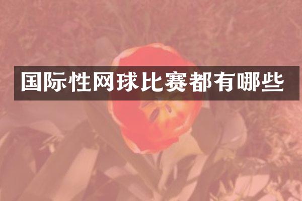 国际性网球比赛都有哪些