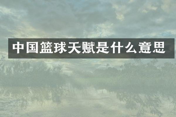 中国篮球天赋是什么意思