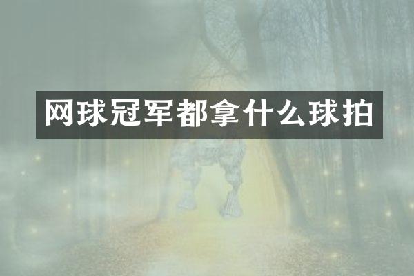 网球冠军都拿什么球拍