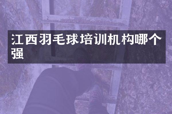 江西羽毛球培训机构哪个强