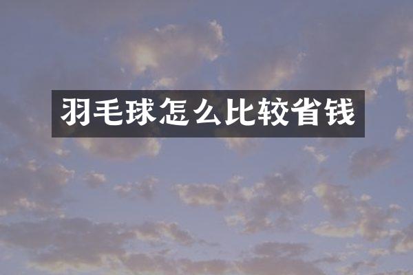 羽毛球怎么比较省钱