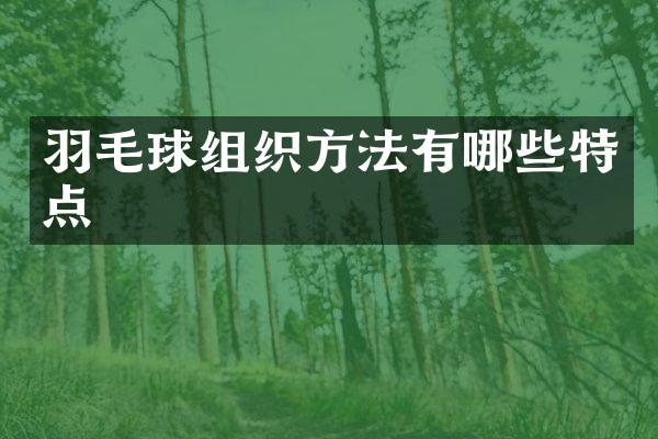 羽毛球组织方法有哪些特点