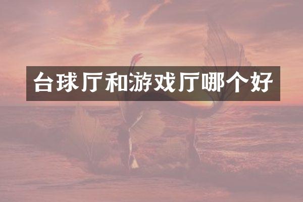 台球厅和游戏厅哪个好