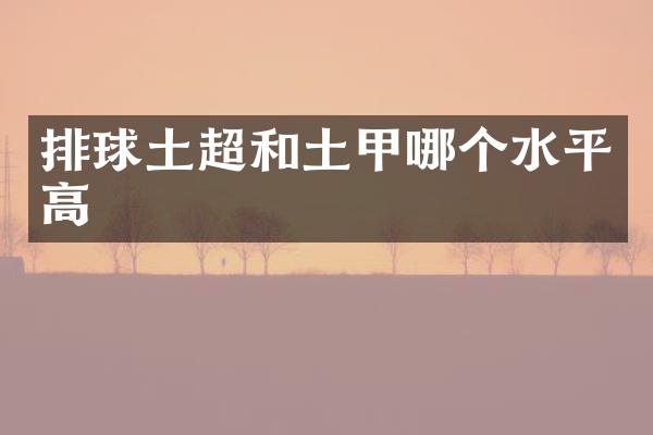 排球土超和土甲哪个水平高