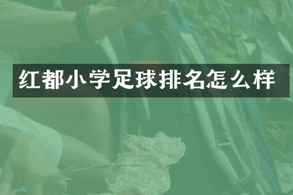 红都小学足球排名怎么样