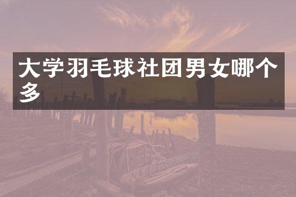 大学羽毛球社团男女哪个多