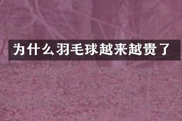 为什么羽毛球越来越贵了