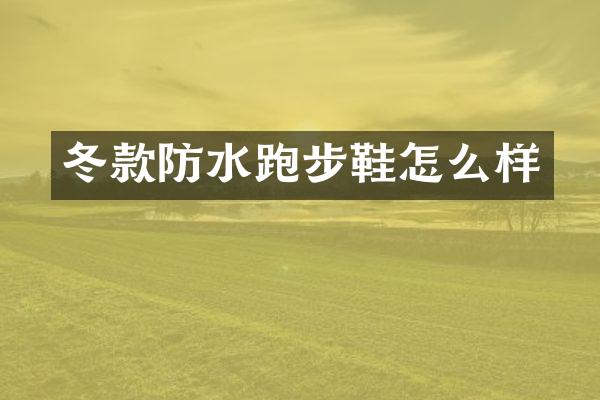 冬款防水跑步鞋怎么样