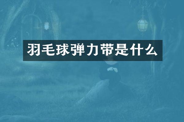 羽毛球弹力带是什么