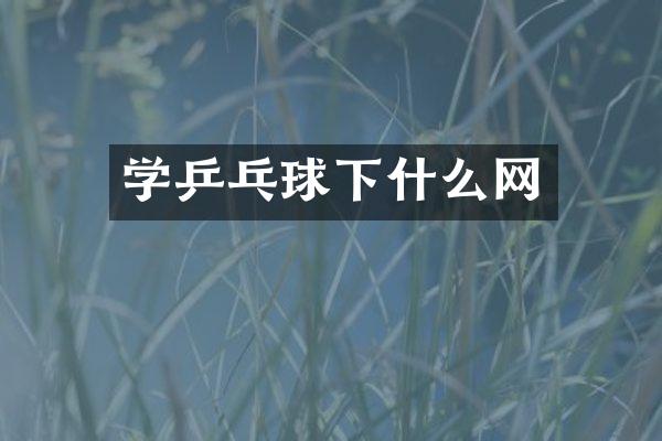 学乒乓球下什么网