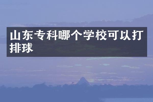 山东专科哪个学校可以打排球