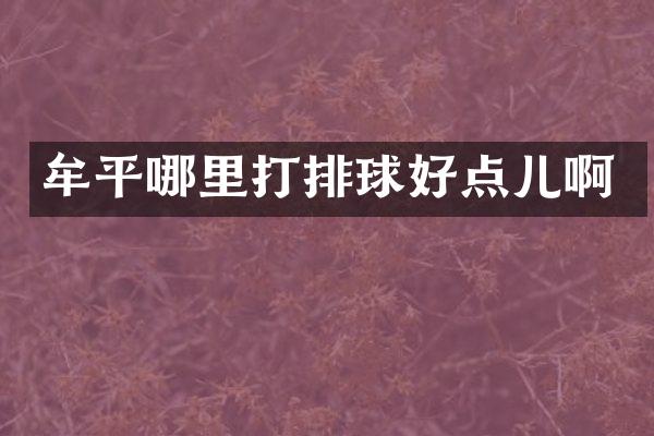 牟平哪里打排球好点儿啊