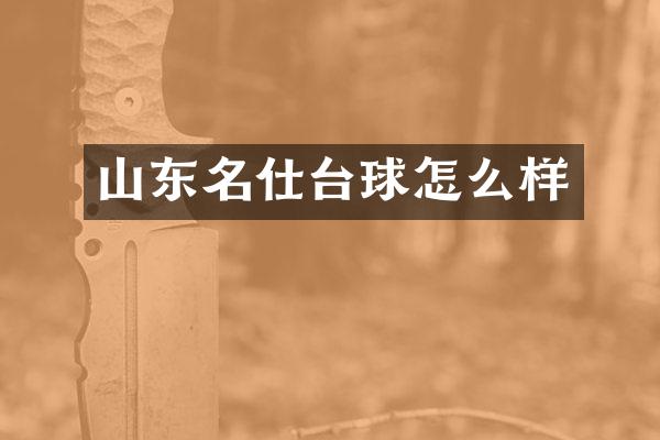 山东名仕台球怎么样