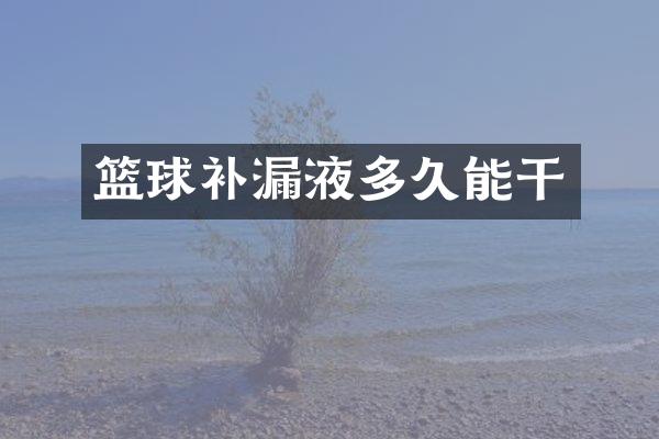 篮球补漏液多久能干