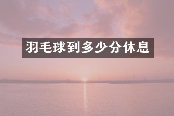 羽毛球到多少分休息