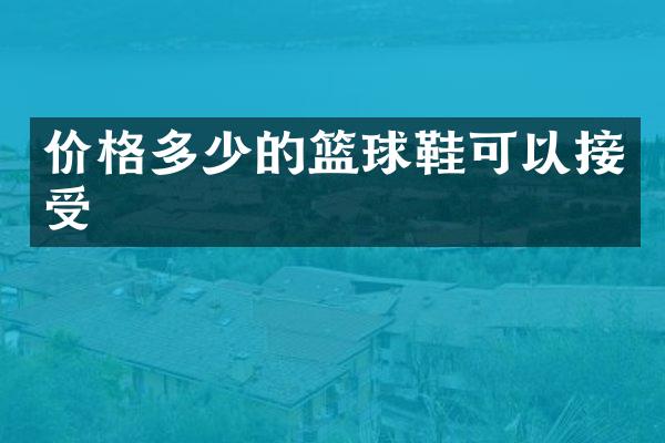 价格多少的篮球鞋可以接受